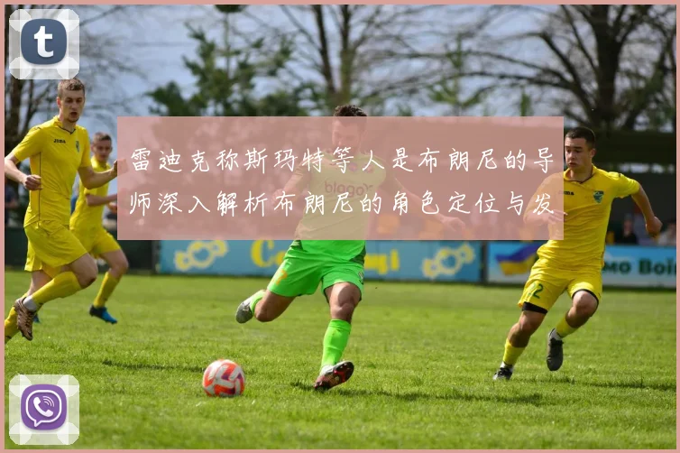 雷迪克称斯玛特等人是布朗尼的导师深入解析布朗尼的角色定位与发展方向
