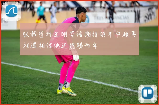 张稀哲对王刚寄语期待明年中超再相遇相信他还能踢两年