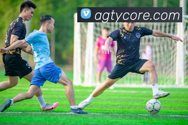 AG体育服务体系